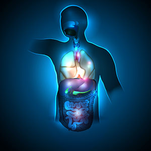 Gastrointestinal (GI) Procedures - Dallas, TX